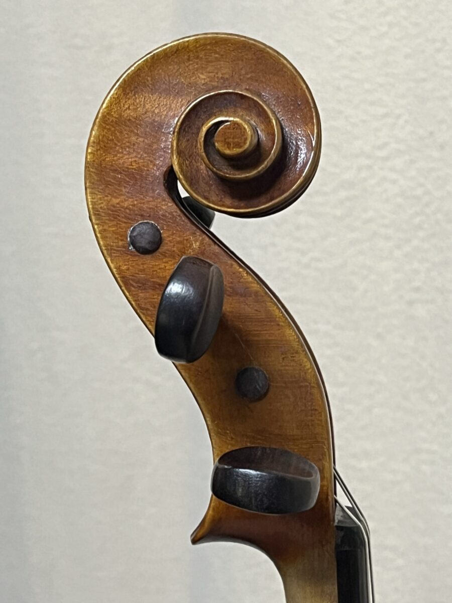 Viola s-4118 scroll