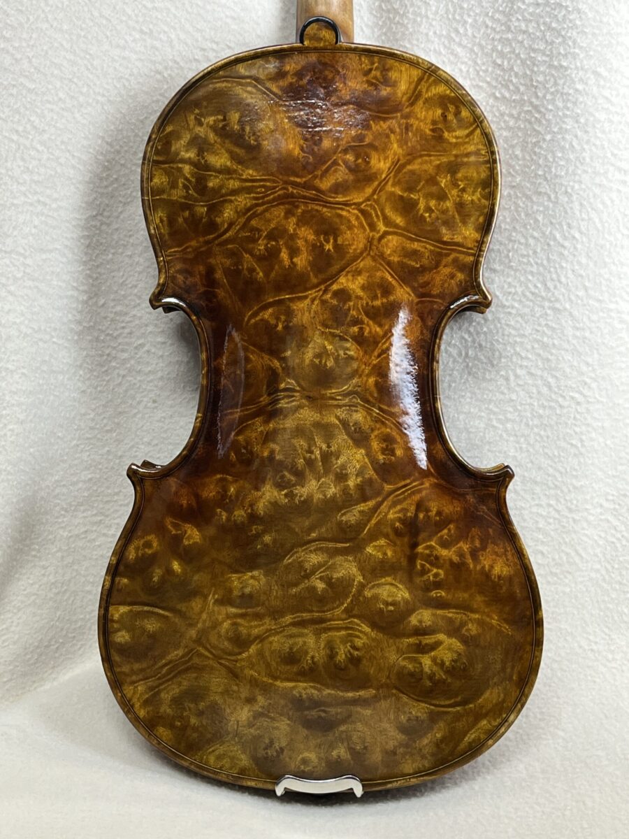 Viola s-4202 back