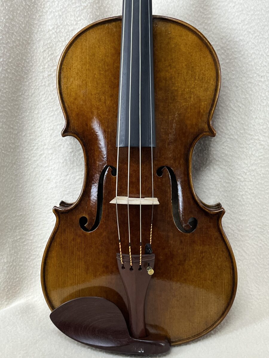 Viola s-4202 close front