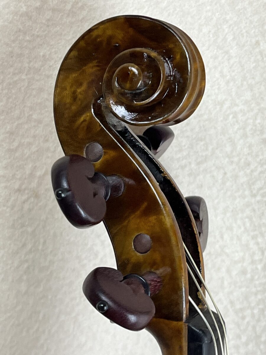 Viola s-4202 scroll