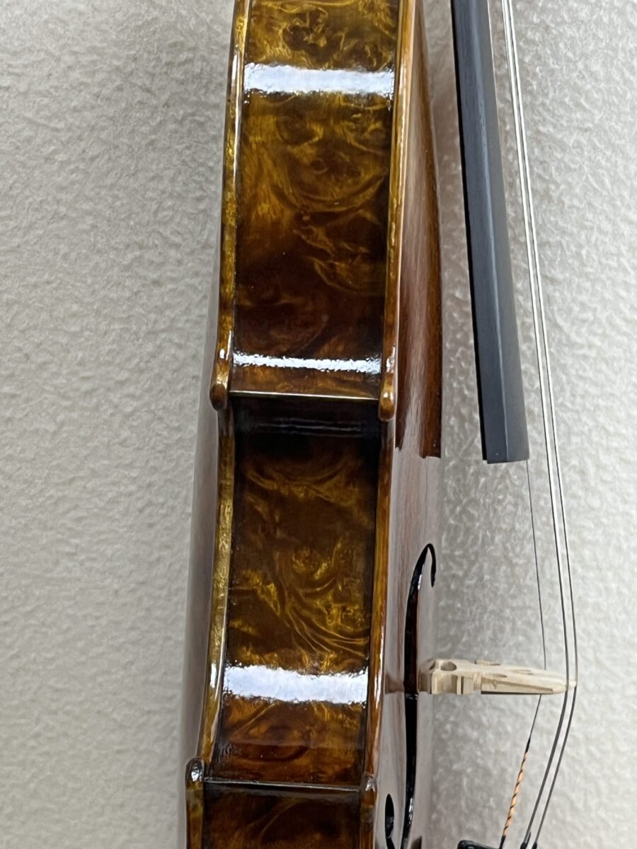 Viola s-4202 side