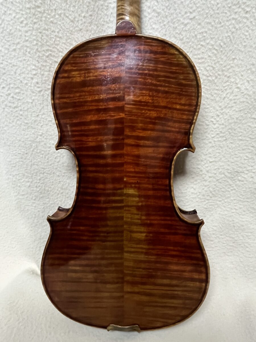 Violin s-4195 back