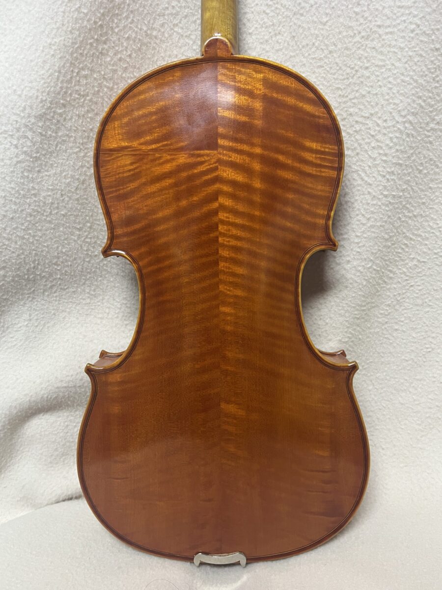 Viola s-1330 back