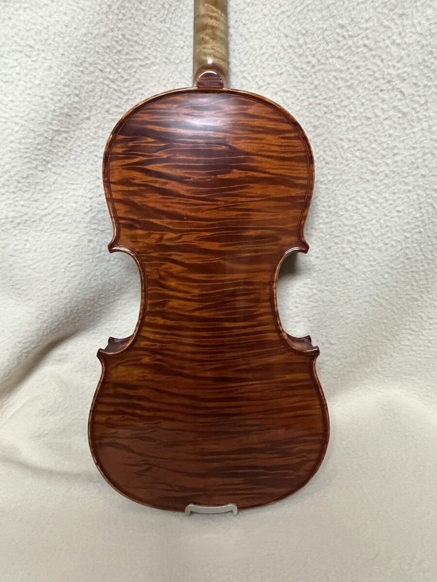 Violin s-4200 back