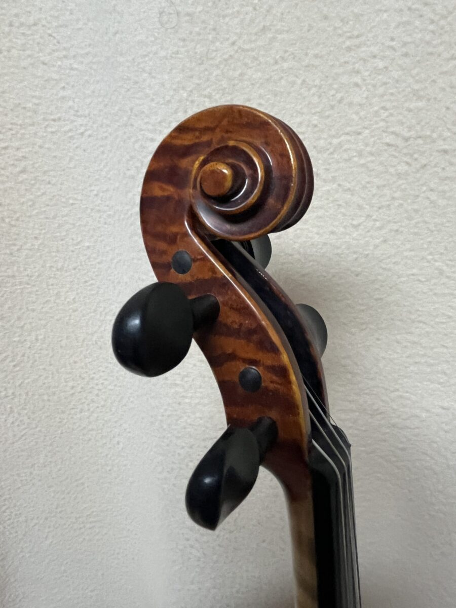 Violin s-4200 scroll