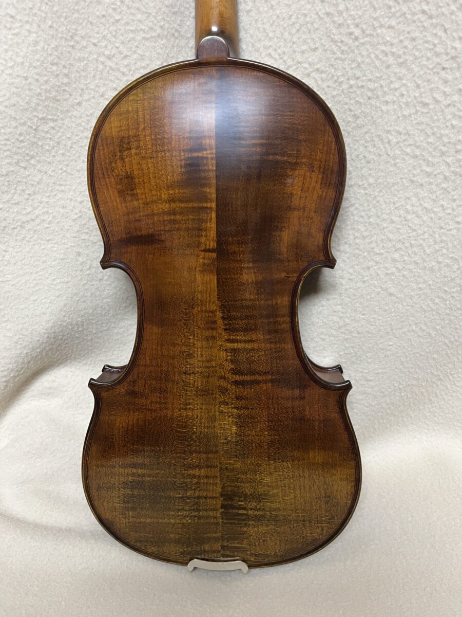 Violin s-4218 back