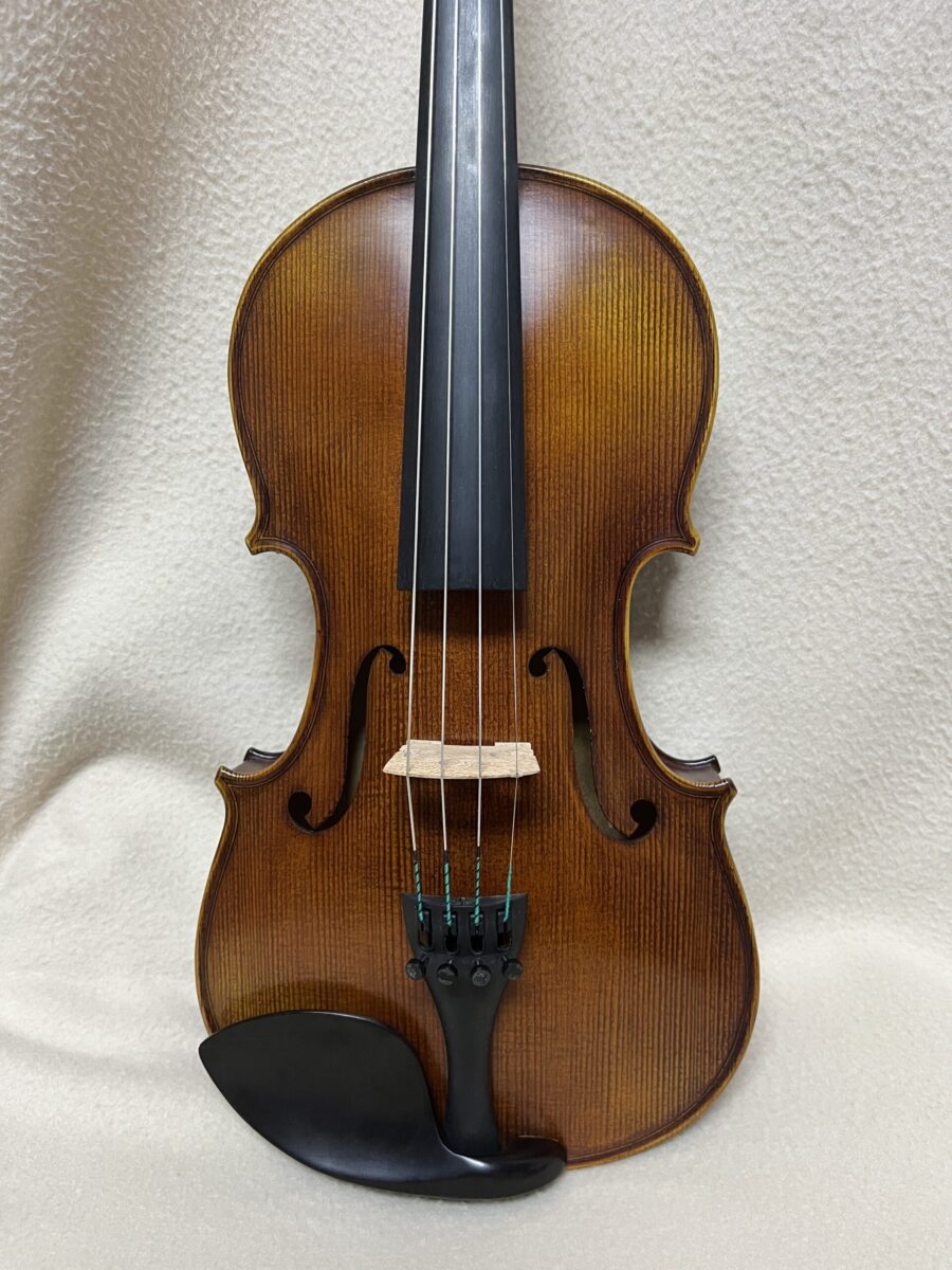 Violin s-4218 close