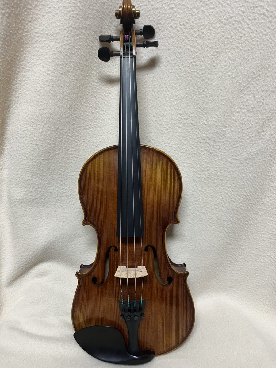 Violin s-4218 front