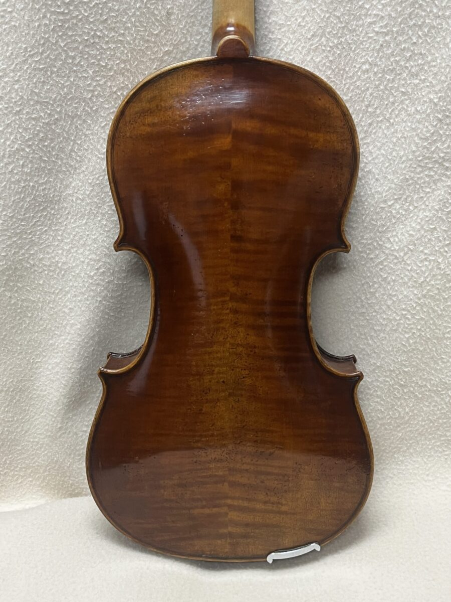 Viola s- 3929 back