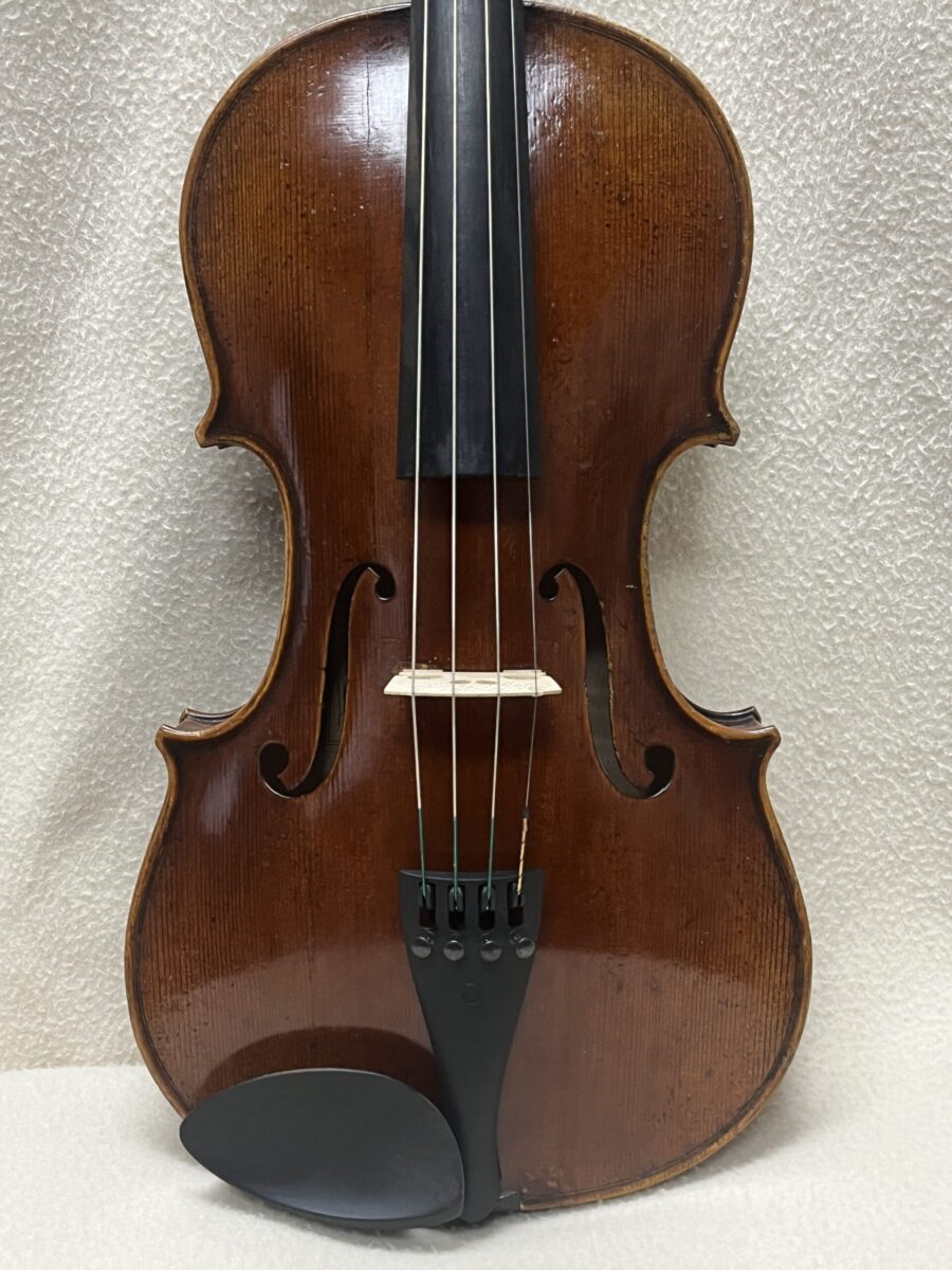 Viola s-3929 close front