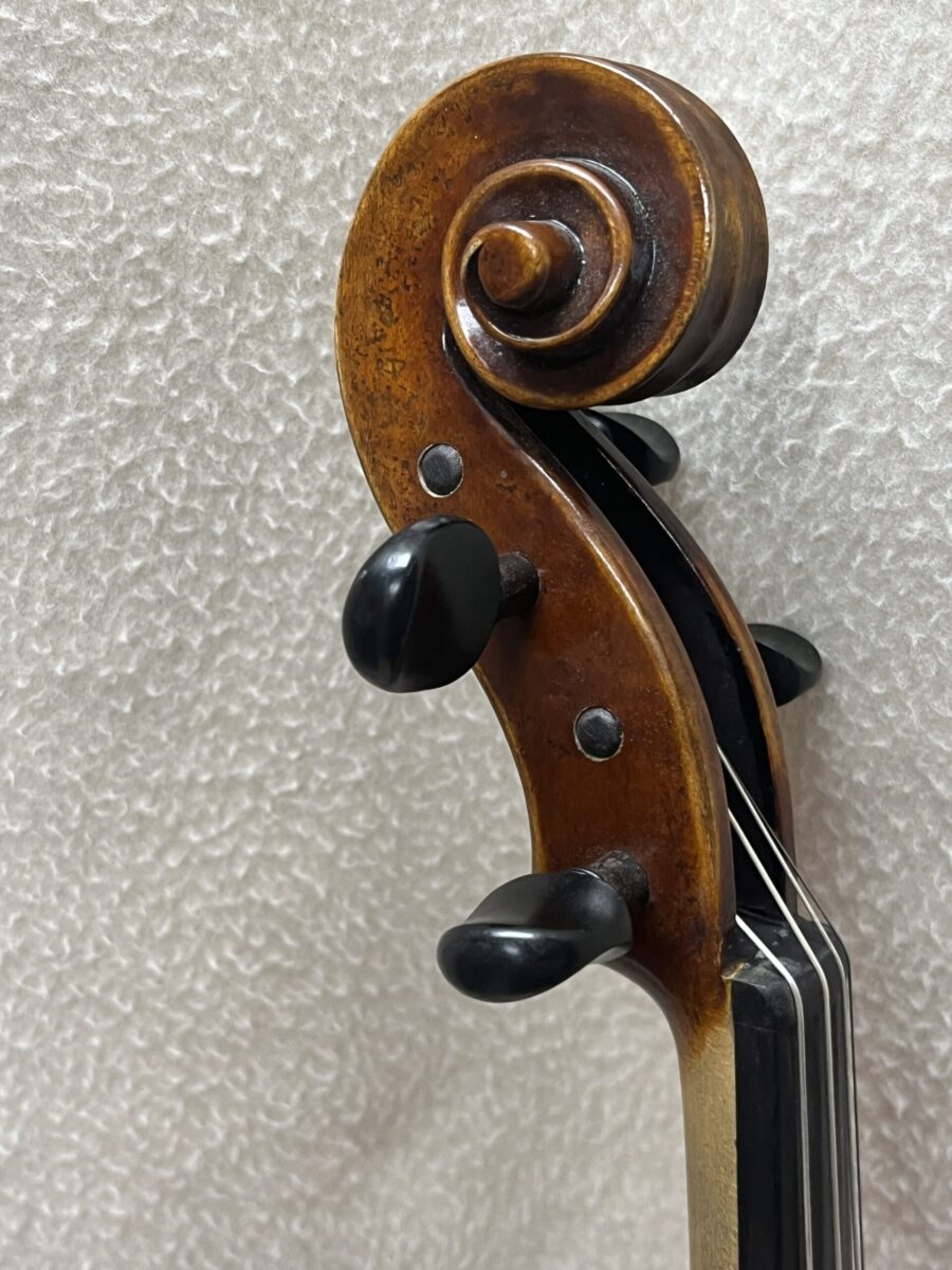 Viola s-3929 scroll